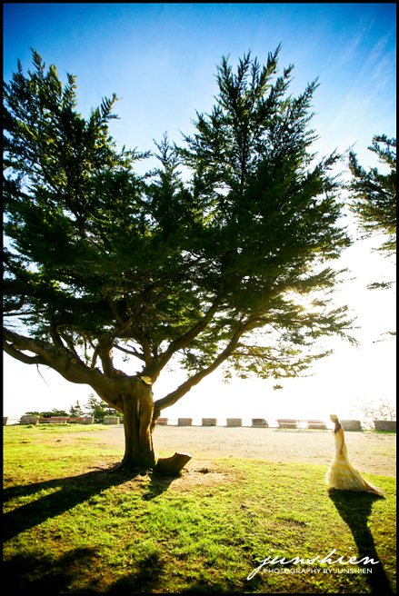 san francisco bridal photographer san francisco wedding photography san francisco wedding photographer bay area trash the dress photography bay area trash the dress photographer