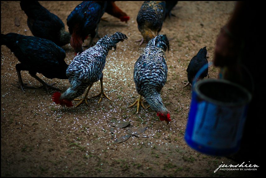 misc travel photography travel photographer laos documentary documentary photography documentary photographer