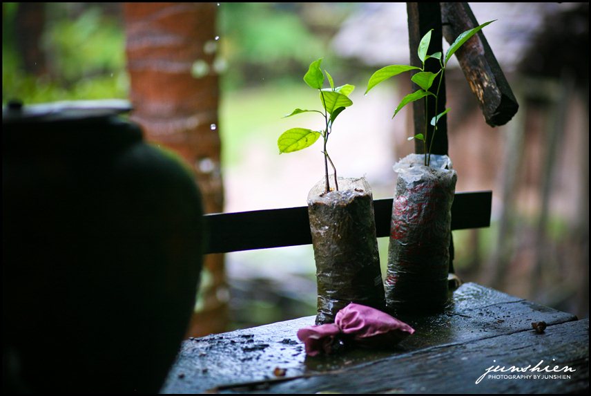 misc travel photography travel photographer laos documentary documentary photography documentary photographer