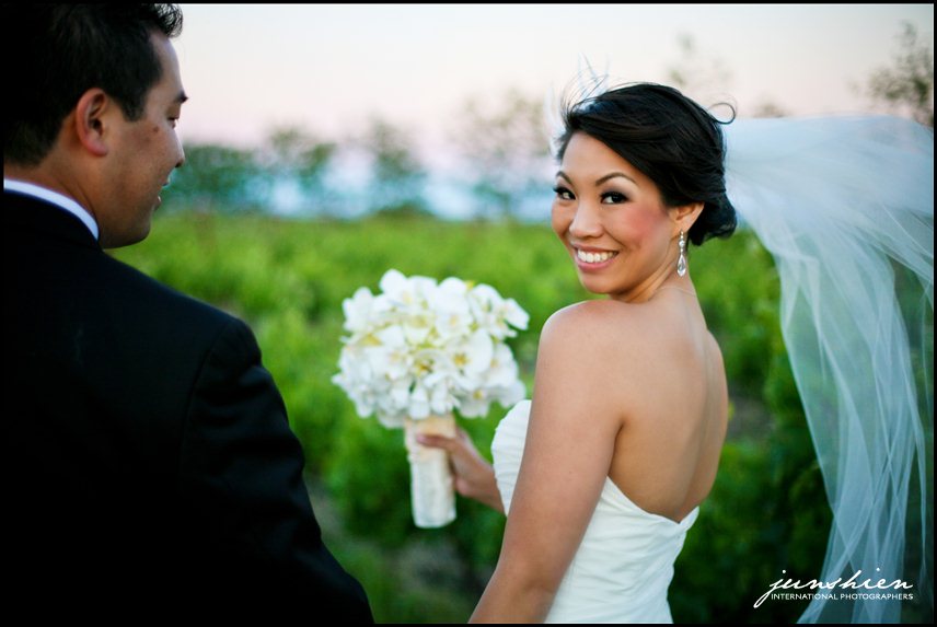 Napa Valley Wedding Photographer sonoma wedding photography sonoma wedding photographer napa wedding photography napa valley wedding photographer jacuzzi family vineyards wedding photographer