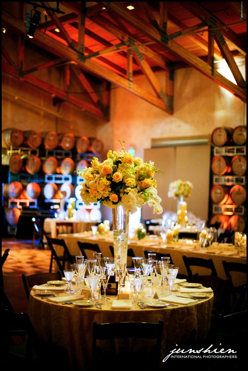 Jacuzzi Family Vineyards wedding photographer sonoma wedding photography sonoma wedding photographer napa wedding photography napa valley wedding photographer jacuzzi family vineyards wedding photographer