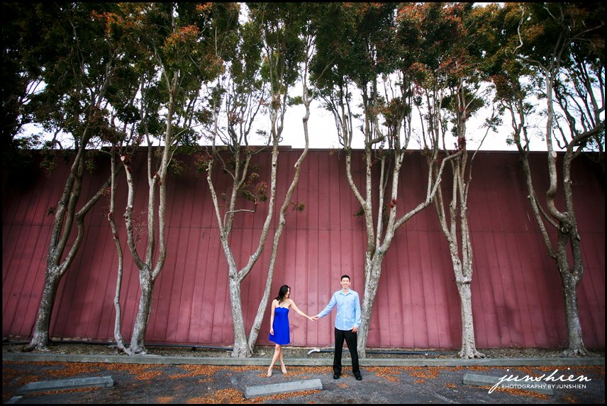 san francisco engagement session photographer half moon bay engagement session photography half moon bay engagement session photographer bay area engagement photography bay area engagement photographer 