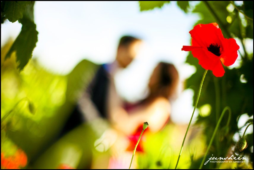 napa valley engagement session photography napa wedding photographer napa valley engagement session photography napa valley engagement session photographer castello di amorosa engagement session calistoga engagement session