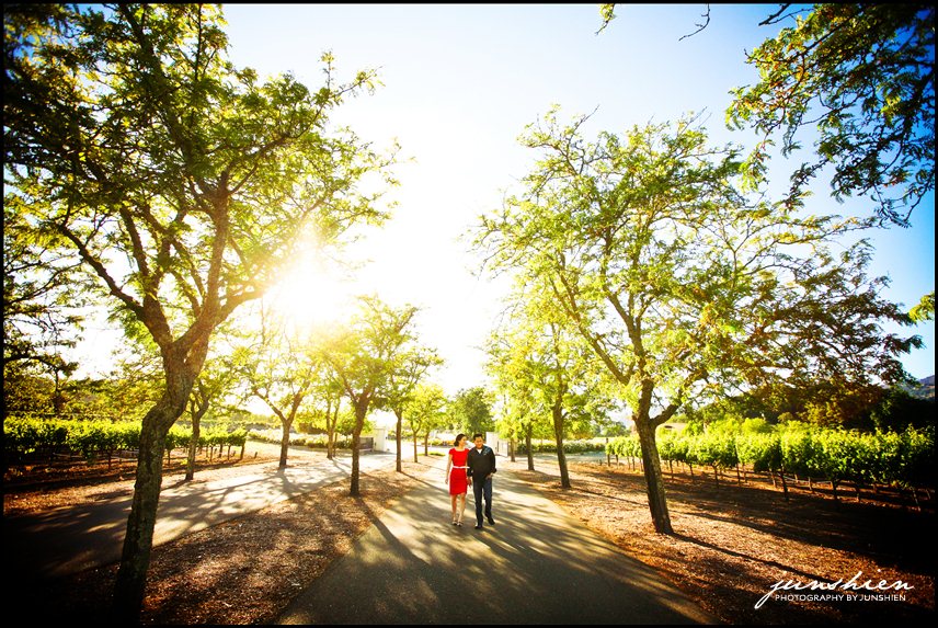 calistoga engagement session photographer napa wedding photographer napa valley engagement session photography napa valley engagement session photographer castello di amorosa engagement session calistoga engagement session
