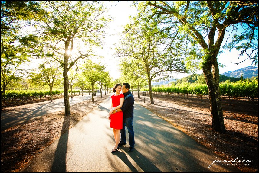 calistoga engagement session photographer napa wedding photographer napa valley engagement session photography napa valley engagement session photographer castello di amorosa engagement session calistoga engagement session