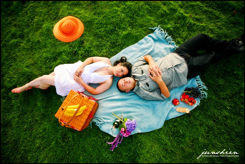 san francisco engagement photographer picnic engagement session pictures bay area engagement session photography bay area engagement session photographer alameda engagement session photographer 
