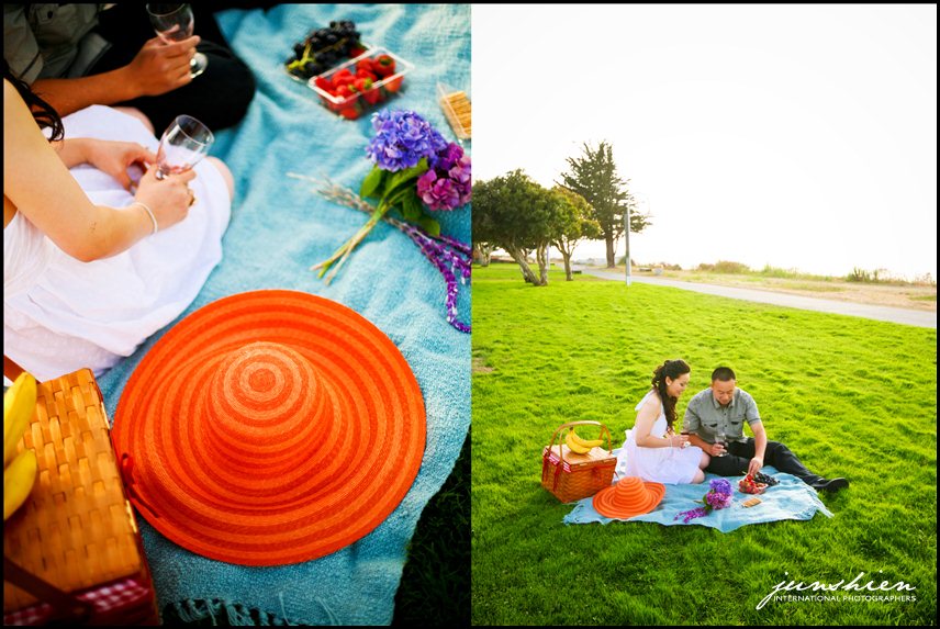 san francisco engagement photographer picnic engagement session pictures bay area engagement session photography bay area engagement session photographer alameda engagement session photographer 