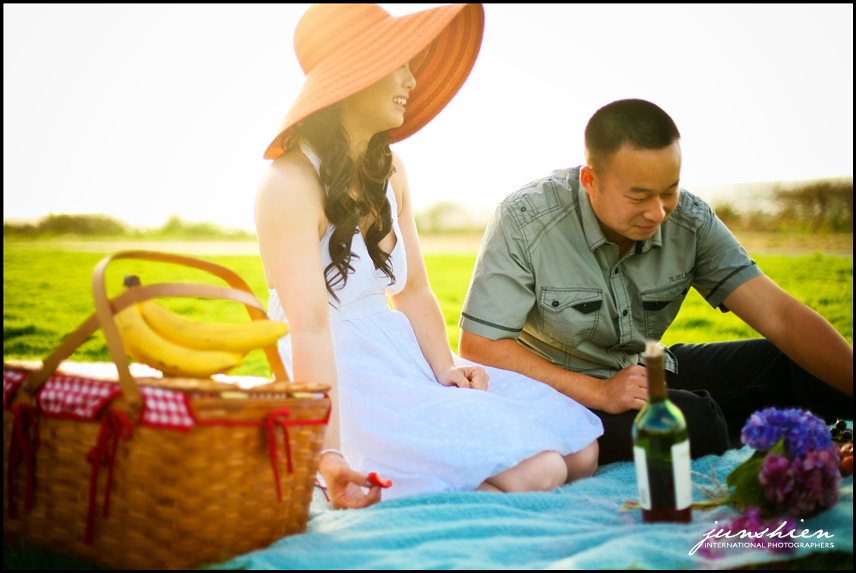 san francisco engagement photographer picnic engagement session pictures bay area engagement session photography bay area engagement session photographer alameda engagement session photographer 