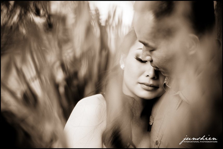 san francisco engagement photographer picnic engagement session pictures bay area engagement session photography bay area engagement session photographer alameda engagement session photographer 