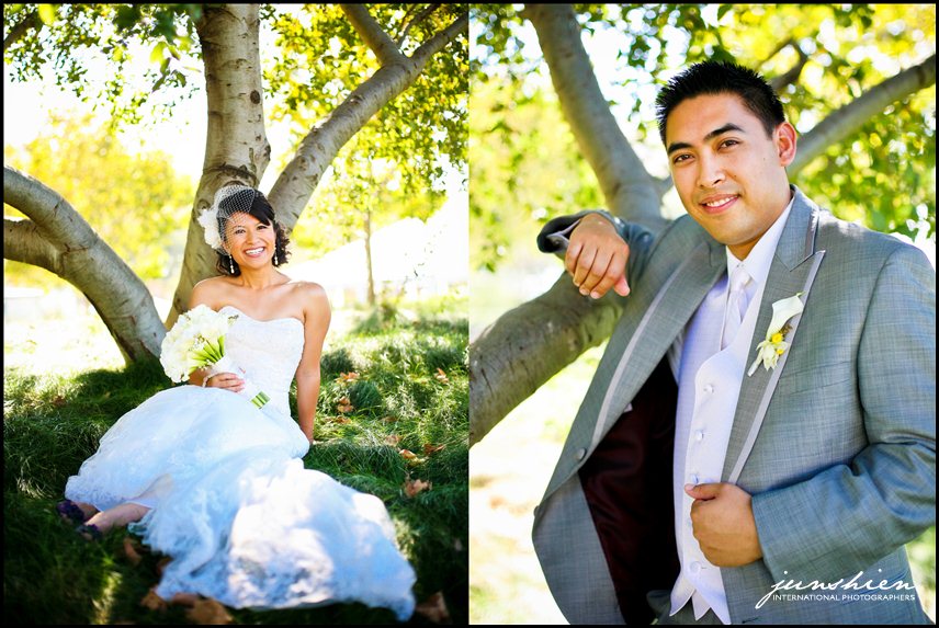 wente vineyards wedding photography wente vineyards wedding photographer livermore wedding photography livermore wedding photographer bay area vineyard wedding 