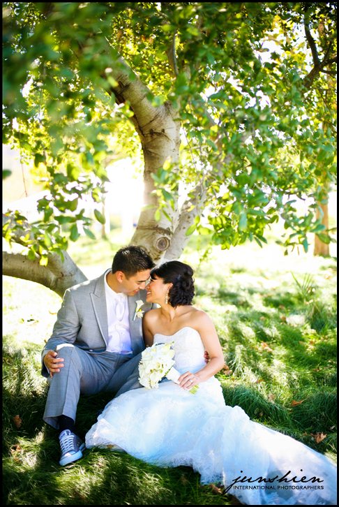 wente vineyards wedding photography wente vineyards wedding photographer livermore wedding photography livermore wedding photographer bay area vineyard wedding 