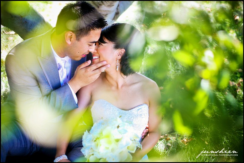wente vineyards wedding photography wente vineyards wedding photographer livermore wedding photography livermore wedding photographer bay area vineyard wedding 