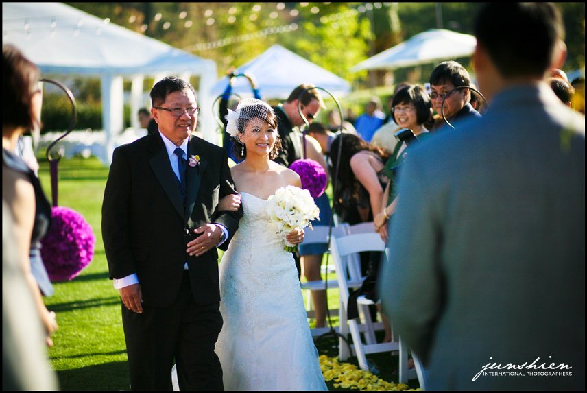 wente vineyards wedding photography wente vineyards wedding photographer livermore wedding photography livermore wedding photographer bay area vineyard wedding 