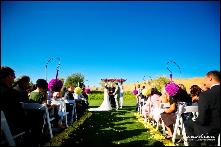 wente vineyards wedding photography wente vineyards wedding photographer livermore wedding photography livermore wedding photographer bay area vineyard wedding 