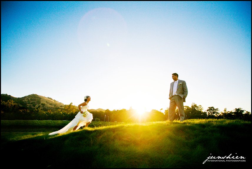 wente vineyards wedding photography wente vineyards wedding photographer livermore wedding photography livermore wedding photographer bay area vineyard wedding 