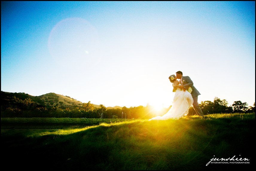 wente vineyards wedding photography wente vineyards wedding photographer livermore wedding photography livermore wedding photographer bay area vineyard wedding 