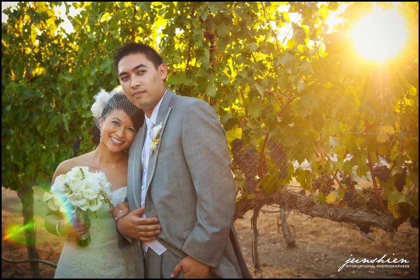wente vineyards wedding photography wente vineyards wedding photographer livermore wedding photography livermore wedding photographer bay area vineyard wedding 