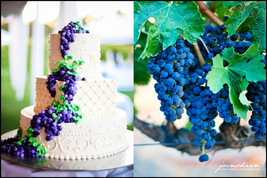 wente vineyards wedding photography wente vineyards wedding photographer livermore wedding photography livermore wedding photographer bay area vineyard wedding 