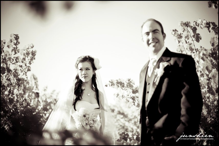 Sausalito wedding photography Sausalito wedding photographer Sausalito Presbyterian Church wedding napa wedding photographer merryvale wedding photography 