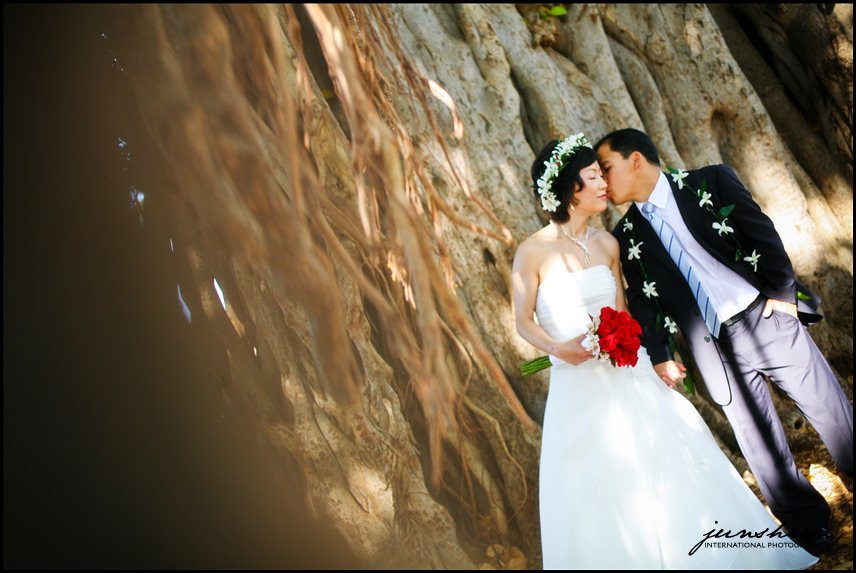 oahu wedding photographer Maile Sky Court wedding honolulu wedding photographer Hawaii Prince Hotel wedding Halekulani Hotel wedding 