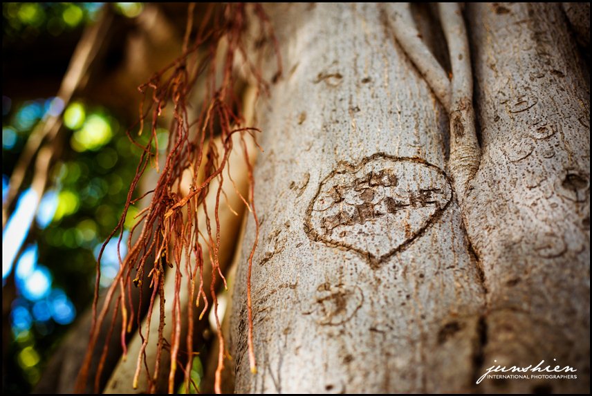 oahu wedding photographer Maile Sky Court wedding honolulu wedding photographer Hawaii Prince Hotel wedding Halekulani Hotel wedding 
