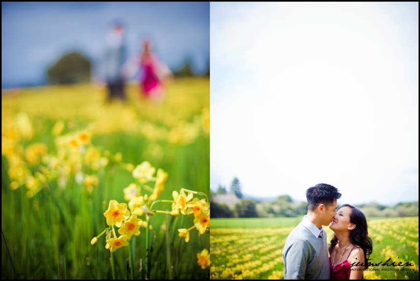 san mateo engagement session photography san mateo engagement session photographer bay area wedding photographer blog bay area engagement session photography bay area engagement session photographer 