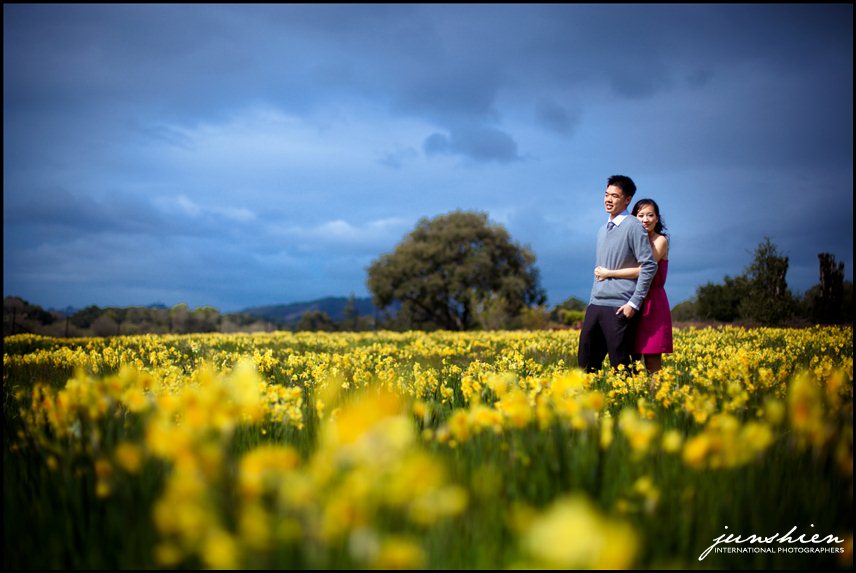 san mateo engagement session photography san mateo engagement session photographer bay area wedding photographer blog bay area engagement session photography bay area engagement session photographer 