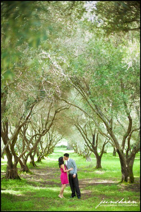 san mateo engagement session photography san mateo engagement session photographer bay area wedding photographer blog bay area engagement session photography bay area engagement session photographer 