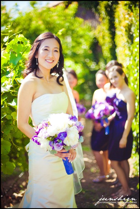 viansa wedding photography viansa wedding photographer sonoma wedding photography sonoma wedding photographer napa wedding photographer bay area wedding photographer blog