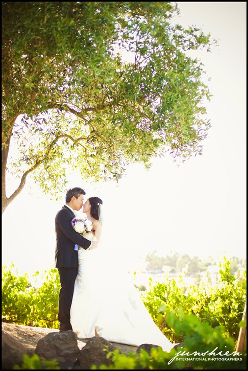 viansa wedding photography viansa wedding photographer sonoma wedding photography sonoma wedding photographer napa wedding photographer bay area wedding photographer blog