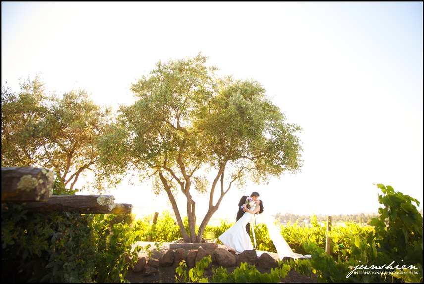 viansa wedding photography viansa wedding photographer sonoma wedding photography sonoma wedding photographer napa wedding photographer bay area wedding photographer blog