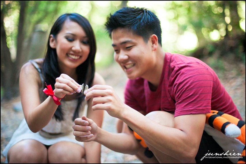 themed engagement photographer styled engagement session photography calvin and hobbes inspired engagement session bay area wedding photography bay area wedding photographer blog 