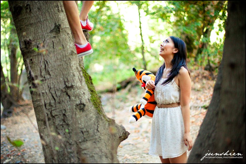themed engagement photographer styled engagement session photography calvin and hobbes inspired engagement session bay area wedding photography bay area wedding photographer blog 