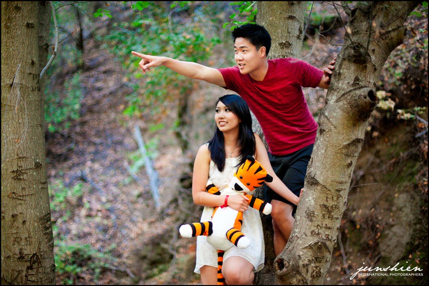 themed engagement photographer styled engagement session photography calvin and hobbes inspired engagement session bay area wedding photography bay area wedding photographer blog 