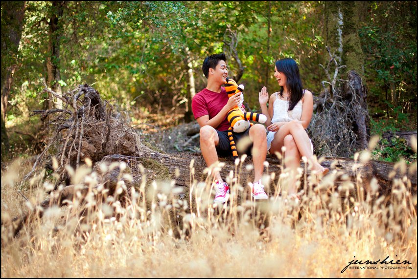 themed engagement photographer styled engagement session photography calvin and hobbes inspired engagement session bay area wedding photography bay area wedding photographer blog 