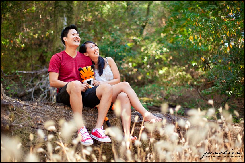 themed engagement photographer styled engagement session photography calvin and hobbes inspired engagement session bay area wedding photography bay area wedding photographer blog 