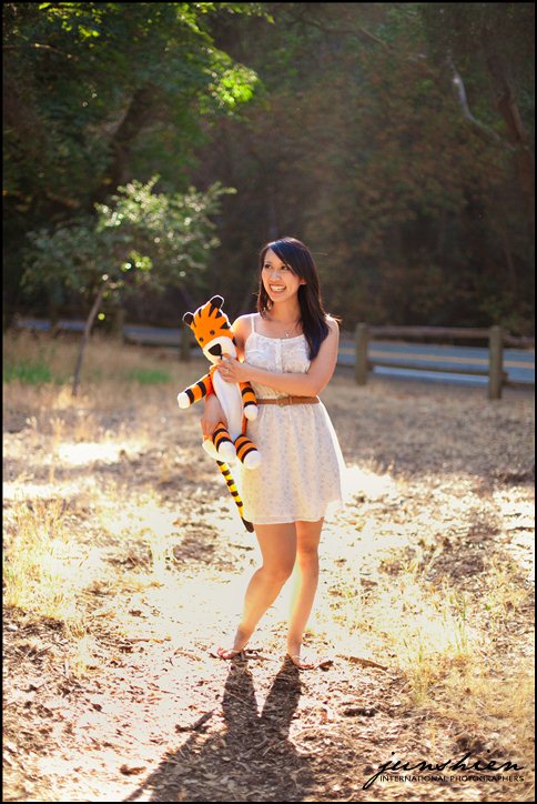 themed engagement photographer styled engagement session photography calvin and hobbes inspired engagement session bay area wedding photography bay area wedding photographer blog 
