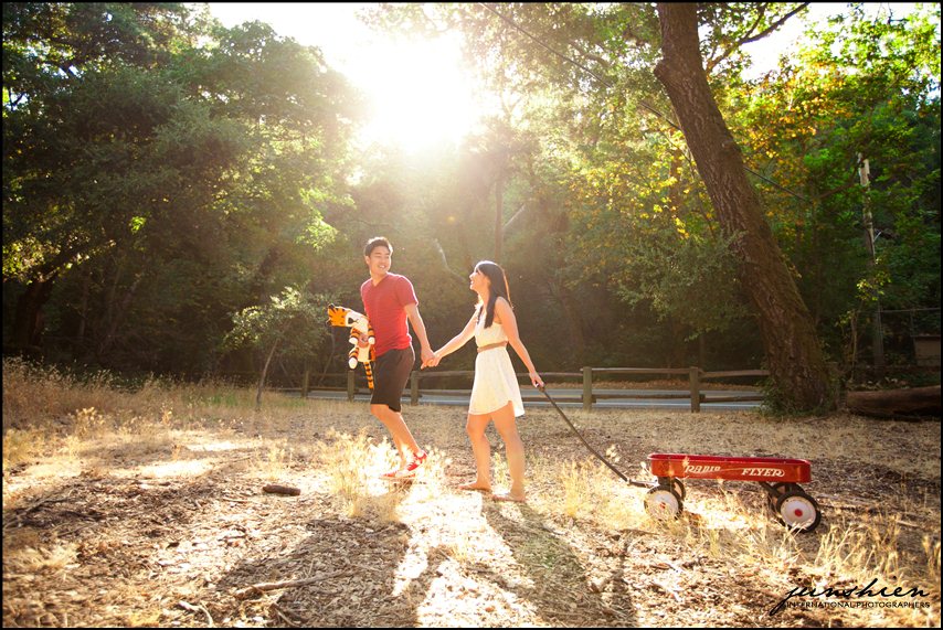 themed engagement photographer styled engagement session photography calvin and hobbes inspired engagement session bay area wedding photography bay area wedding photographer blog 