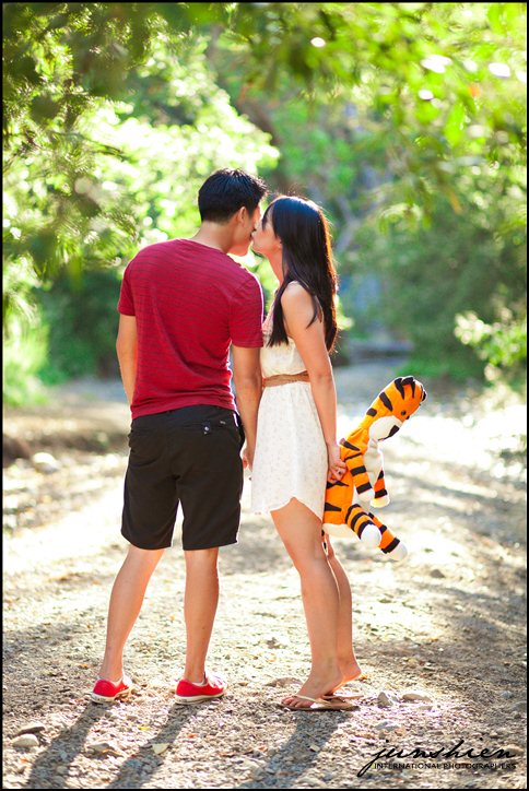 themed engagement photographer styled engagement session photography calvin and hobbes inspired engagement session bay area wedding photography bay area wedding photographer blog 