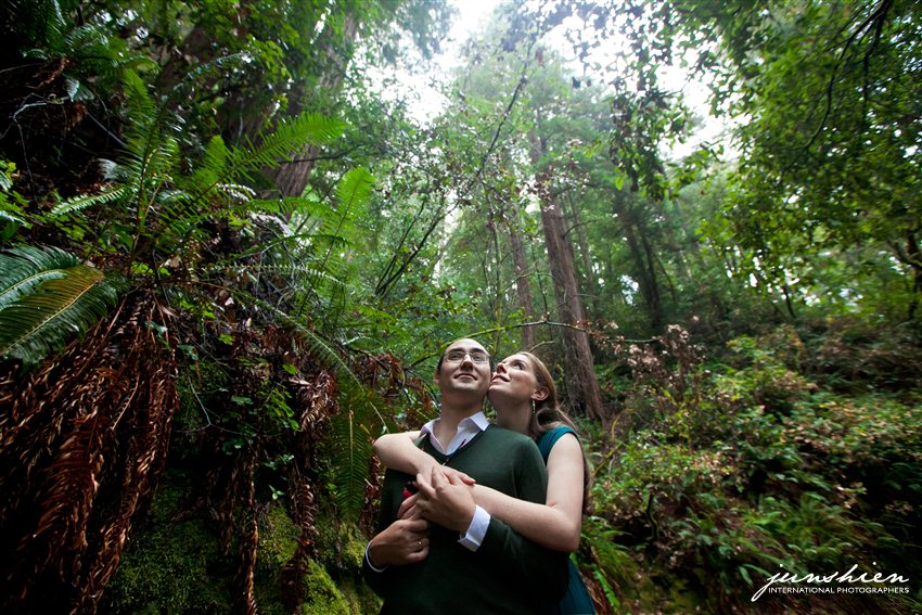 san francisco styled engagement session photography