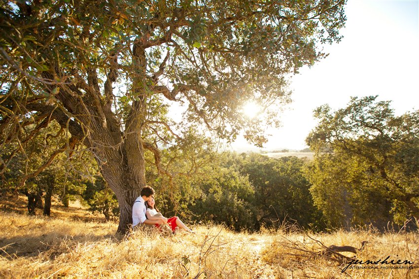 san francisco engagement session photographer bay area wedding photographer blog bay area styled engagement session photographer bay area engagement session photography bay area engagement session photographer 