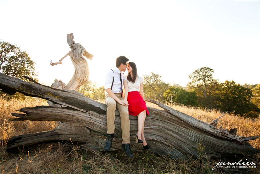 san francisco engagement session photographer bay area wedding photographer blog bay area styled engagement session photographer bay area engagement session photography bay area engagement session photographer 