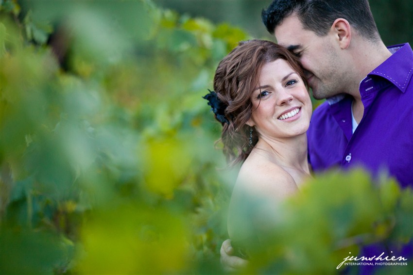 sonoma wedding photographer san francisco wedding photographer blog napa wedding photography napa wedding photographer napa engagement session photography napa engagement session photographer 