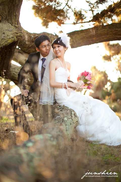 san francisco wedding photography san francisco wedding photographer pre wedding photography bay area pre wedding photographer bay area pre wedding photography 