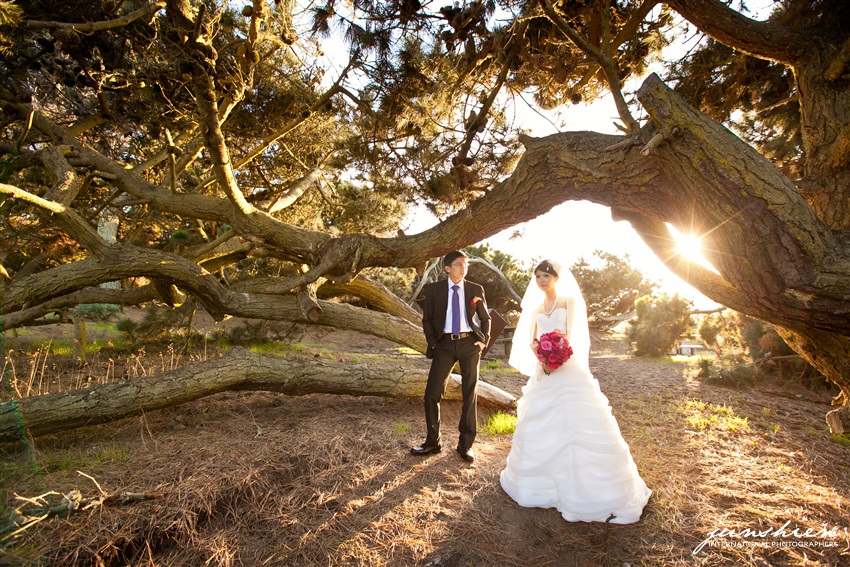 san francisco wedding photography san francisco wedding photographer pre wedding photography bay area pre wedding photographer bay area pre wedding photography 