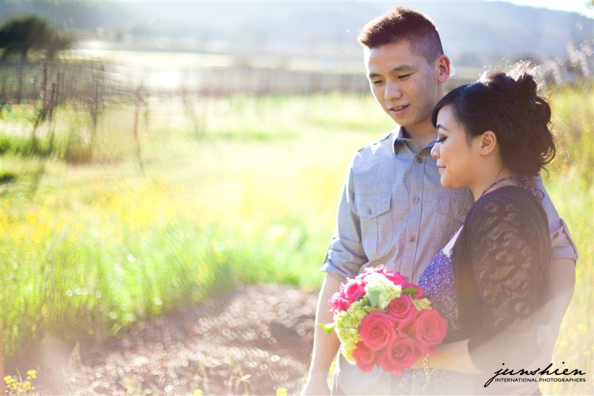 san frandisco engagement photography san francisco engagement photographer napa engagement session photography napa engagement session photographer bay area engagement session photographer