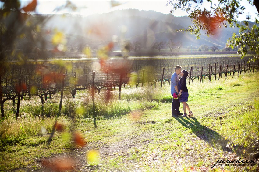 san frandisco engagement photography san francisco engagement photographer napa engagement session photography napa engagement session photographer bay area engagement session photographer