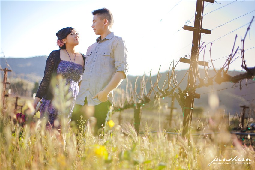 san frandisco engagement photography san francisco engagement photographer napa engagement session photography napa engagement session photographer bay area engagement session photographer