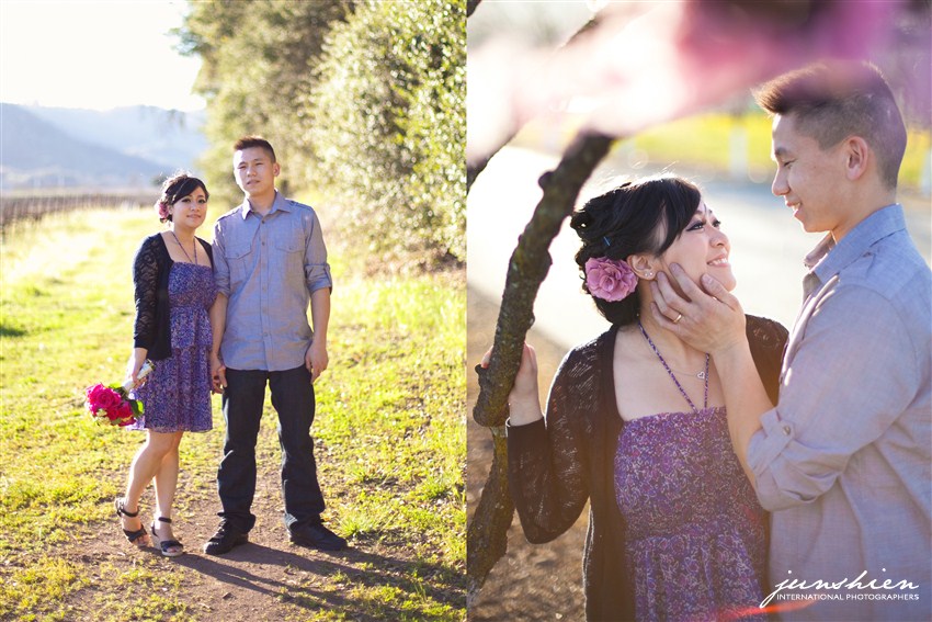 san frandisco engagement photography san francisco engagement photographer napa engagement session photography napa engagement session photographer bay area engagement session photographer