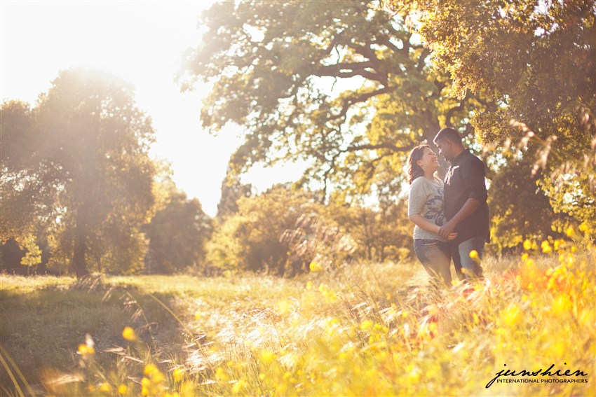 san francisco engagement session photographer mountain view engagement photographer bay area wedding photographer blog bay area engagement session photography bay area engagement session photographer 